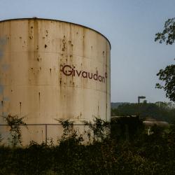 Nestle NewMilford 2023